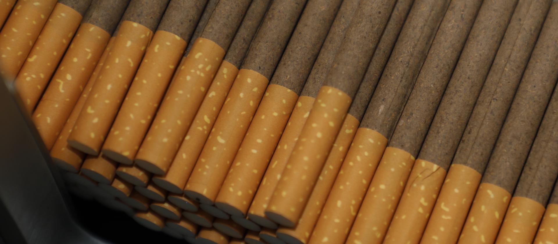 Making & Packing Solutions: Excellence for cigars production